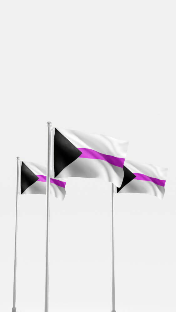 choisir les drapeaux
